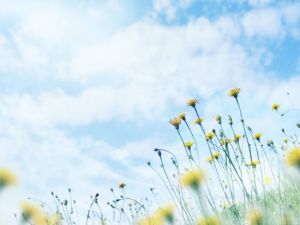 2023SEO优化方案怎么写3篇