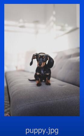 页面SEO优化终极指南(15大策略按谷歌最新规则2022更新)(图36) 页面SEO优化终极指南(15大策略按谷歌最新规则2022更新)(图36)