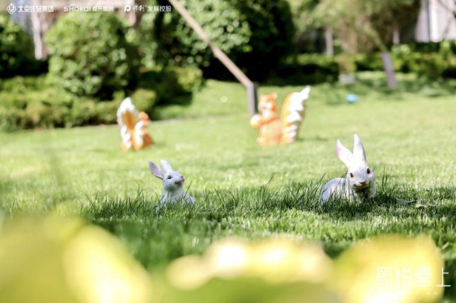 北京熙悦雲上官方网站(售楼处)熙悦雲上-2024最新首页-欢迎您(图11) 北京熙悦雲上官方网站(售楼处)熙悦雲上-2024最新首页-欢迎您(图11)